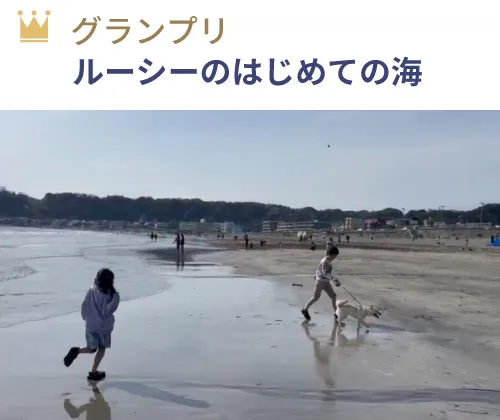 グランプリ 『ルーシーのはじめての海』