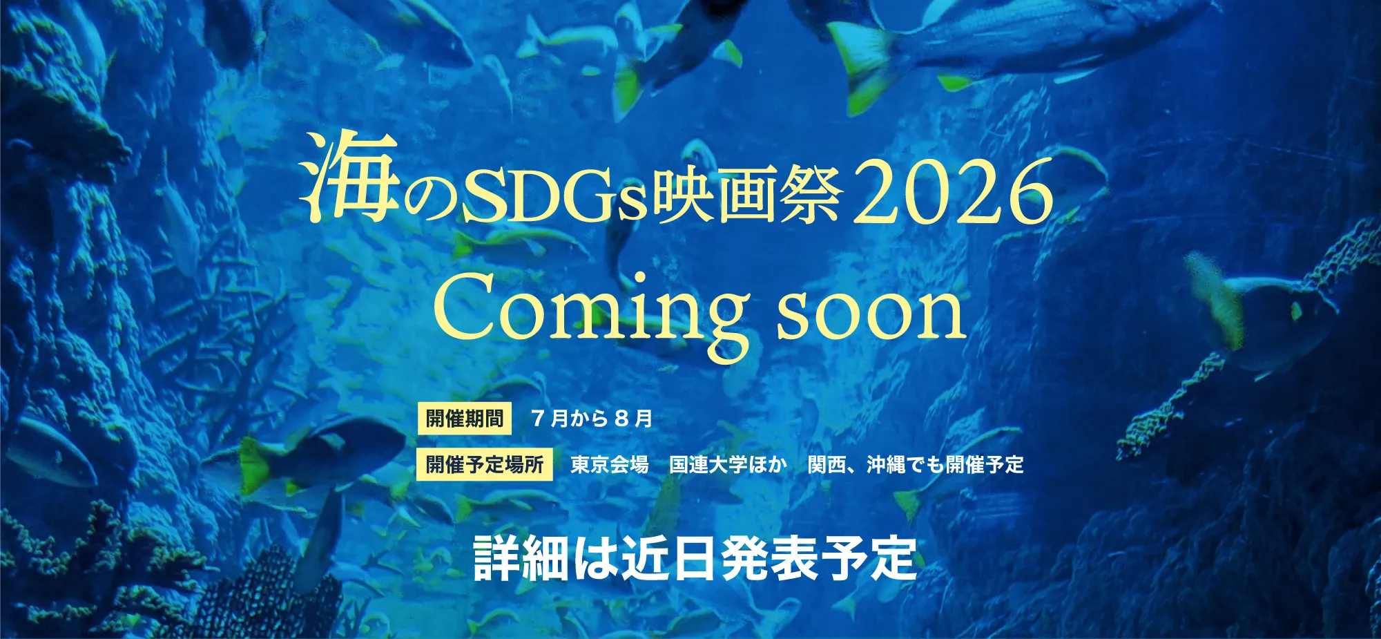 海のSDGs映画祭2026公式ホームページ