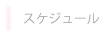 スケジュール